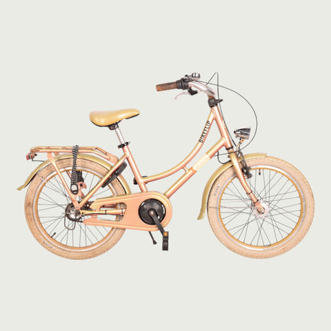 20.652 - BikeFlip