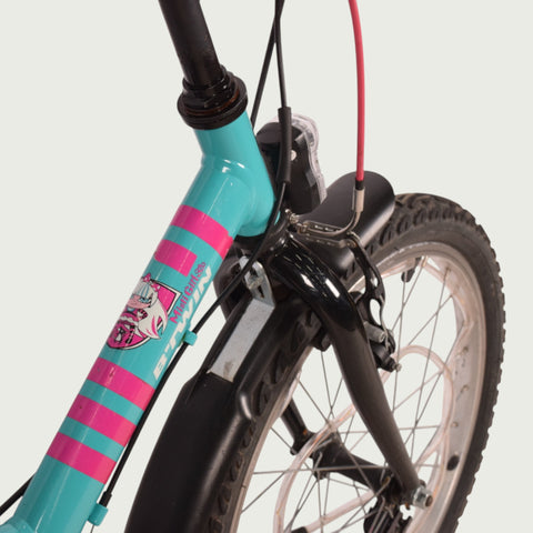 20.899 - BikeFlip