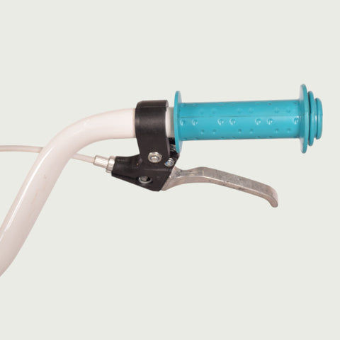 20.915 kinderfiets - BikeFlip