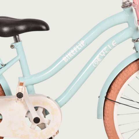 20.916 kinderfiets - BikeFlip