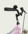 22.11 - BikeFlip