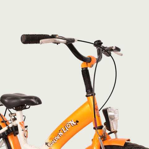 22.233 - BikeFlip