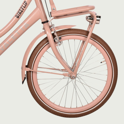 22.246P - BikeFlip