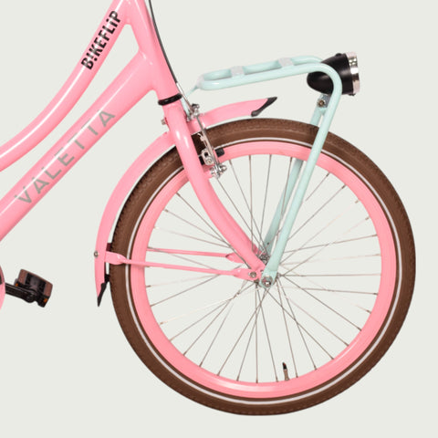 22.249P - BikeFlip