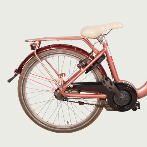 22.259 - BikeFlip
