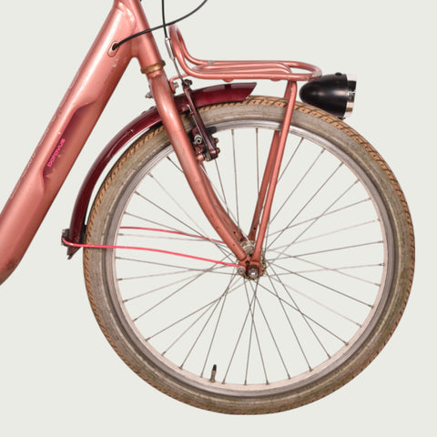 22.259 - BikeFlip
