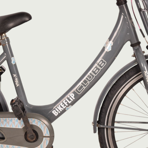 22.274 kinderfiets - BikeFlip