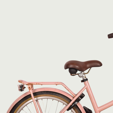 22.288 kinderfiets - BikeFlip