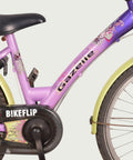 22.289 kinderfiets - BikeFlip