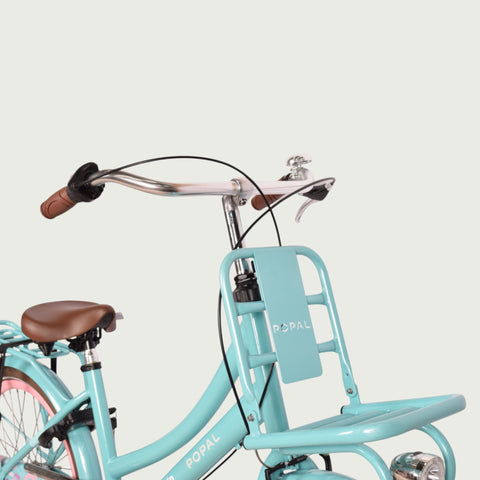 22.290P kinderfiets - BikeFlip
