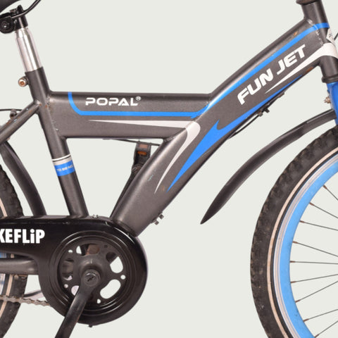 22.295 kinderfiets - BikeFlip