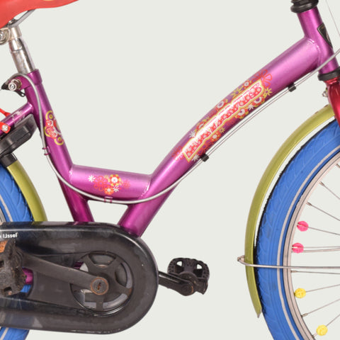22.298 kinderfiets - BikeFlip