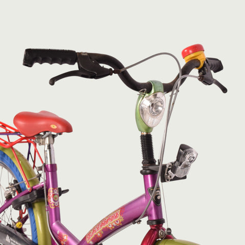 22.298 kinderfiets - BikeFlip
