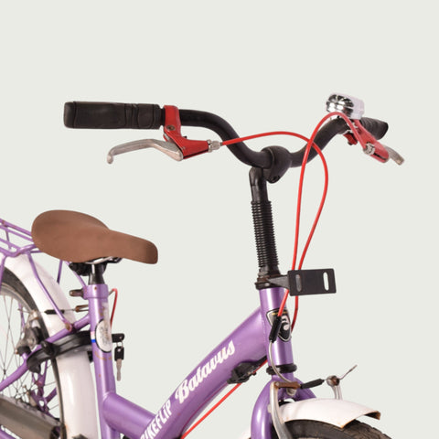 22.331 kinderfiets - BikeFlip