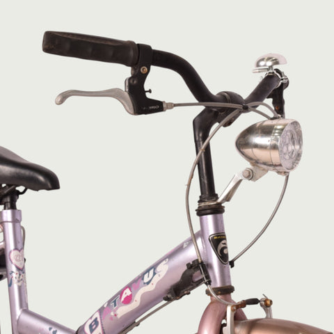 22.338 kinderfiets - BikeFlip