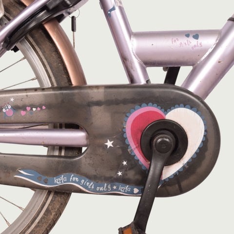 22.338 kinderfiets - BikeFlip