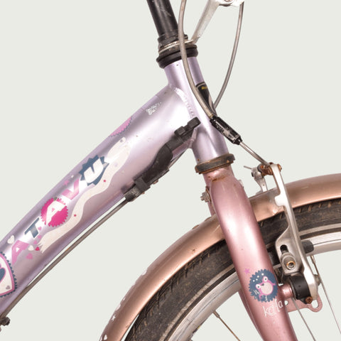 22.338 kinderfiets - BikeFlip