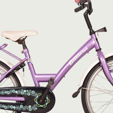 22.339 kinderfiets - BikeFlip