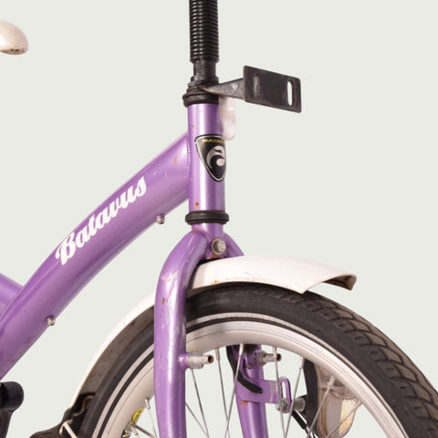 22.339 kinderfiets - BikeFlip