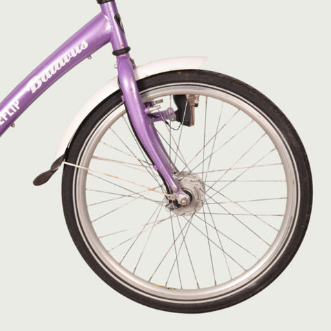 22.339 kinderfiets - BikeFlip