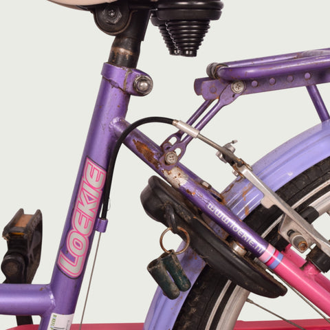 22.340 kinderfiets - BikeFlip