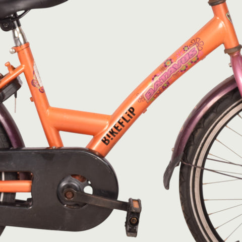 22.345 kinderfiets - BikeFlip