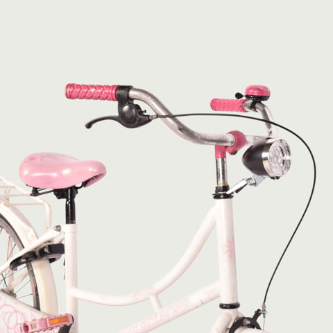 22.360 kinderfiets - BikeFlip