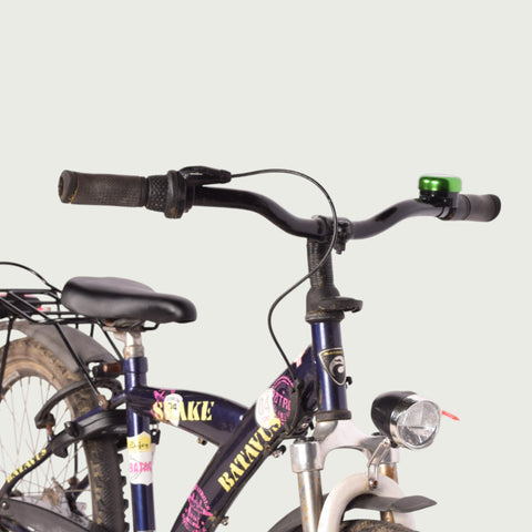 22.367 kinderfiets - BikeFlip