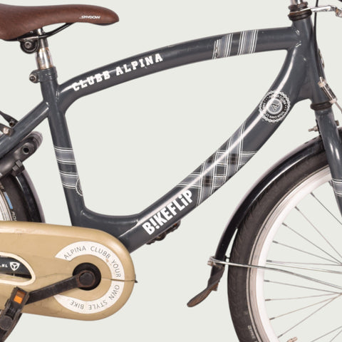 22.379 kinderfiets - BikeFlip