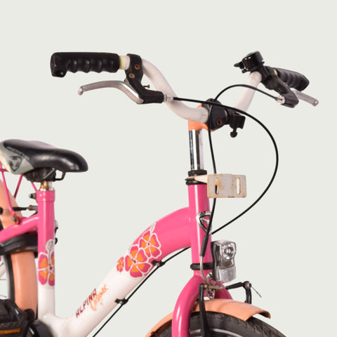 22.390 kinderfiets - BikeFlip