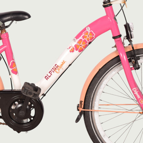 22.390 kinderfiets - BikeFlip