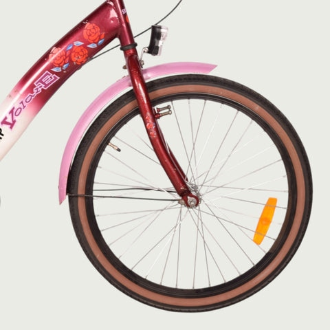 22.425 kinderfiets - BikeFlip