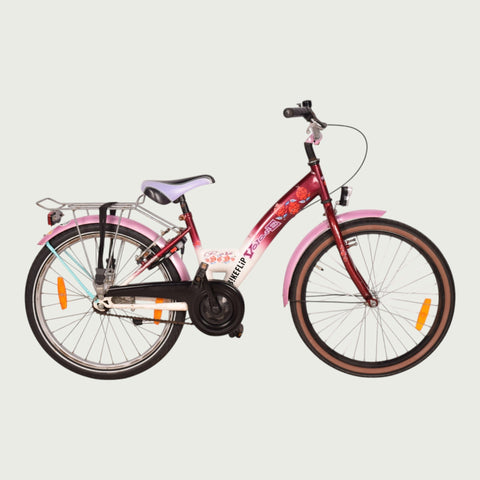 22.425 kinderfiets - BikeFlip