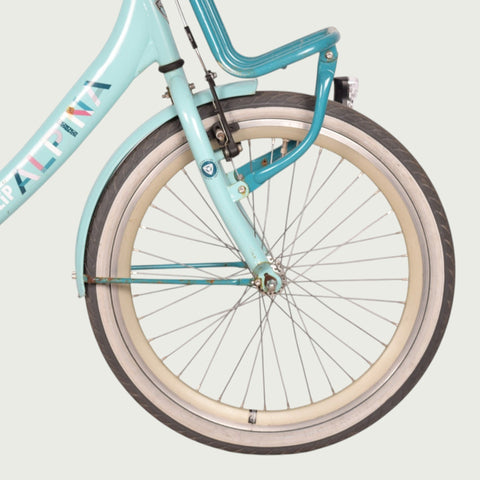 22.456 kinderfiets - BikeFlip