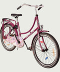 22.478 kinderfiets - BikeFlip