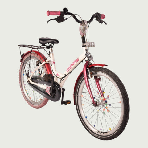 22.491 kinderfiets - BikeFlip