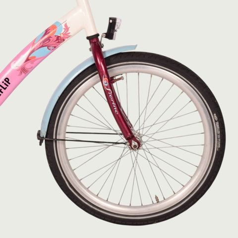 22.493 kinderfiets - BikeFlip