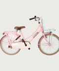 22.569 kinderfiets - BikeFlip