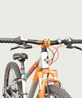 24.1172 - BikeFlip