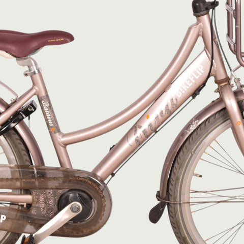 24.1334 kinderfiets - BikeFlip