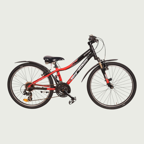 24.1341 kinderfiets - BikeFlip