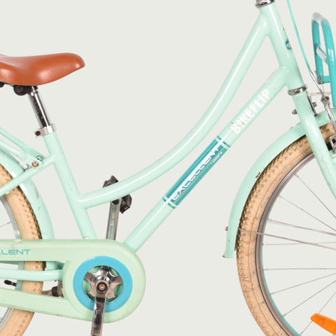 24.1372 kinderfiets - BikeFlip