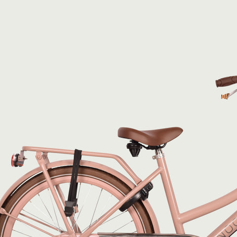 24.1381P kinderfiets - BikeFlip