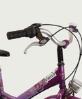 24.145 - BikeFlip