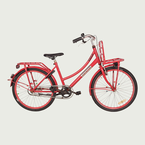 24.1902 kinderfiets - BikeFlip