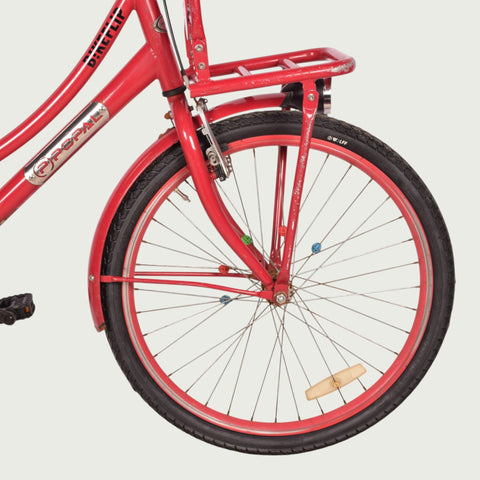 24.1902 kinderfiets - BikeFlip