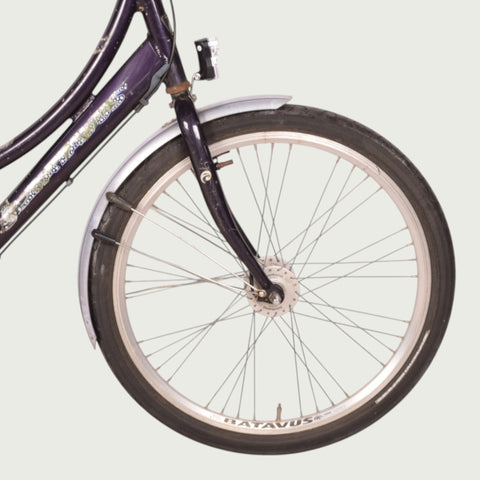 24.2030 kinderfiets - BikeFlip