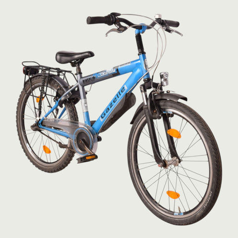 24.2087 kinderfiets - BikeFlip