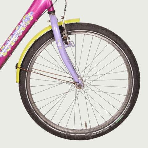 24.2090 kinderfiets - BikeFlip