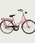 24.2167 kinderfiets - BikeFlip